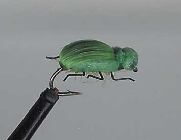 Green Beetle-Muster
